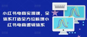小红书电商实操课,全体系打造全方位梳理小红书电商逻辑体系-无痕资源库