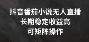 抖音番茄小说无人直播,长期稳定收益高,可矩阵操作【揭秘】-无痕资源库