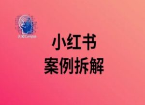小红书案例拆解，深度解读小红书40万粉-无痕资源库