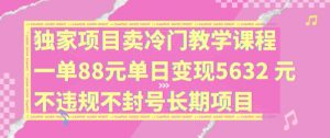 独家项目卖冷门教学课程一单88元单日变现5632元违规不封号长期项目【揭秘】-无痕资源库
