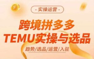 跨境拼多多TEMU实操与选品，多多temu跨境选品运营实操-无痕资源库