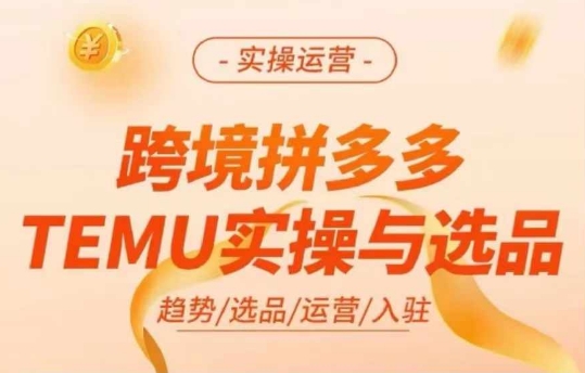 跨境拼多多TEMU实操与选品，多多temu跨境选品运营实操-无痕资源库