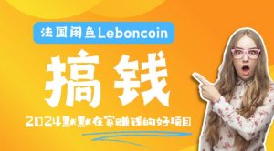 法国闲鱼Leboncoin跨境电商教程：环境邮箱电话解决产品上传及流量，悄悄赚钱【揭秘】-无痕资源库
