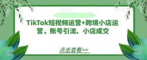 TikTok短视频运营+跨境小店运营，账号引流、小店成交-无痕资源库
