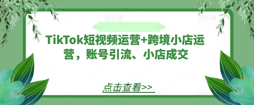 TikTok短视频运营+跨境小店运营，账号引流、小店成交-无痕资源库