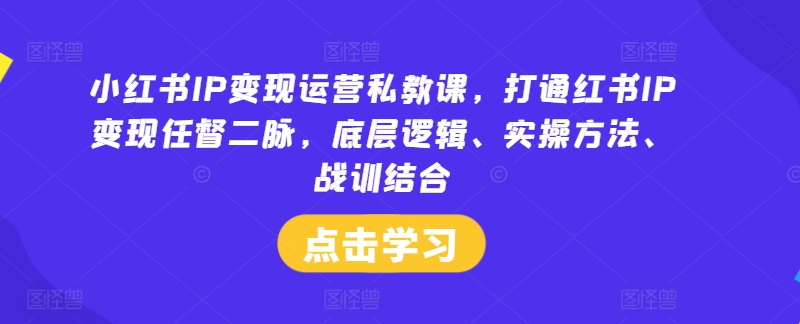 小红书IP变现运营私教课，打通红书IP变现任督二脉，底层逻辑、实操方法、战训结合-无痕资源库