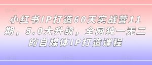 小红书IP打造60天实战营11期，5.0大升级，全网独一无二的自媒体IP打造课程-无痕资源库