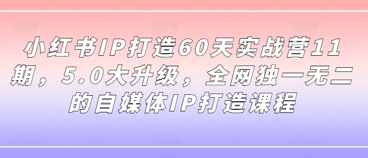 小红书IP打造60天实战营11期，5.0大升级，全网独一无二的自媒体IP打造课程-无痕资源库