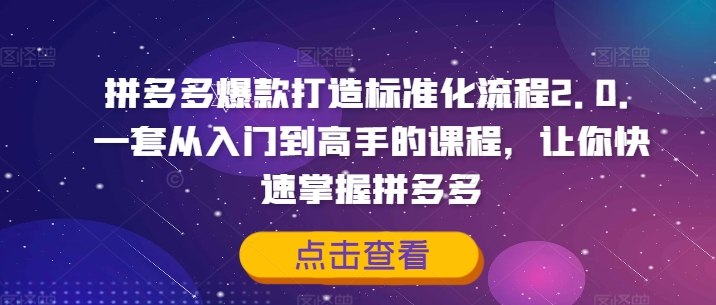拼多多爆款打造标准化流程2.0，一套从入门到高手的课程，让你快速掌握拼多多-无痕资源库