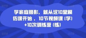学家庭摄影，就从这10堂模仿课开始 ，10节视频课(学)+10次训练营(练)-无痕资源库