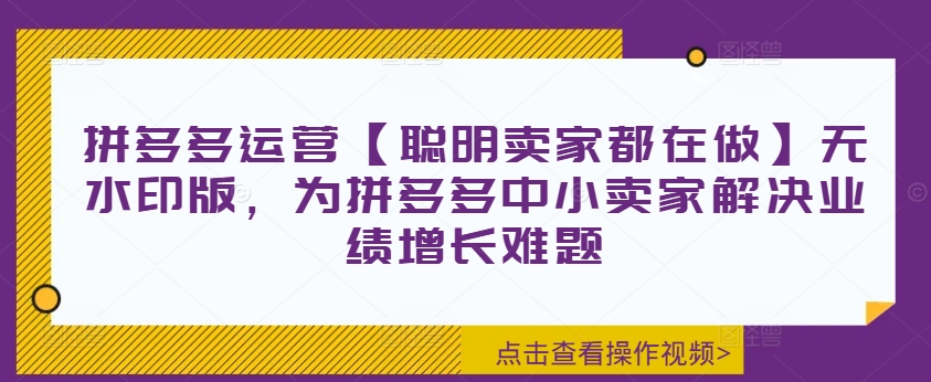 拼多多运营【聪明卖家都在做】无水印版,为拼多多中小卖家解决业绩增长难题-无痕资源库