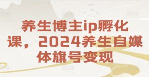 养生博主ip孵化课，2024养生自媒体旗号变现-无痕资源库