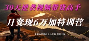 30天逆袭视频带货高手,单月变现6万加特训营-麦子甜-无痕资源库