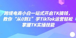 跨境电商小白一站式开启TK搞钱，教你“从0到1”学TikTok运营轻松掌握TK实操技能-无痕资源库