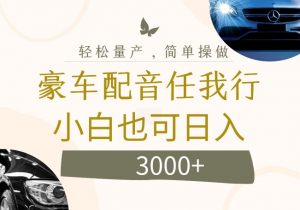 不为人知的暴力小项目，豪车配音，日入几张【揭秘】-无痕资源库