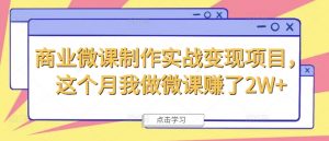商业微课制作实战变现项目，这个月我做微课赚了2W+-无痕资源库