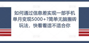 如何通过信息差实现一部手机单月变现5000+?简单无脑搬砖玩法，快看看适不适合你【揭秘】-无痕资源库