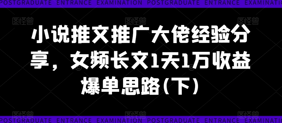 小说推文推广大佬经验分享，女频长文1天1万收益爆单思路(下)-无痕资源库