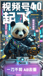 梅花实验窒微信视频号连怼玩法技巧起飞4.0一键AB破解版【揭秘】-无痕资源库