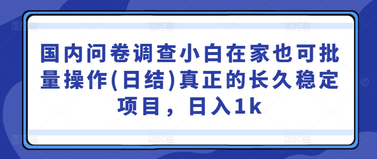 国内问卷调查小白在家也可批量操作(日结)真正的长久稳定项目,日入1k【揭秘】-无痕资源库