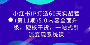 小红书IP打造60天实战营(第11期)5.0内容全面升级,硬核干货,一站式引流变现系统课-无痕资源库