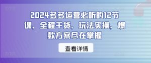 2024多多运营必听的12节课，全程干货，玩法实操，爆款方案尽在掌握-无痕资源库