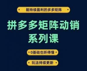 拼多多矩阵动销系列课，能持续盈利的多多矩阵，0基础也听得懂，玩法持续更新-无痕资源库