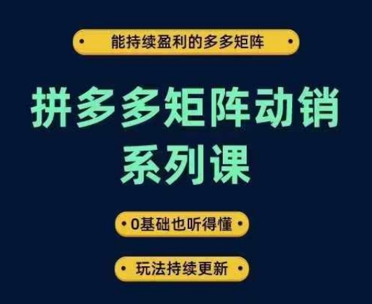 拼多多矩阵动销系列课，能持续盈利的多多矩阵，0基础也听得懂，玩法持续更新-无痕资源库