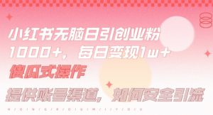 小红书无脑每日引流创业粉500+，小白每天只花半小时，躺赚长尾收益【揭秘】-无痕资源库