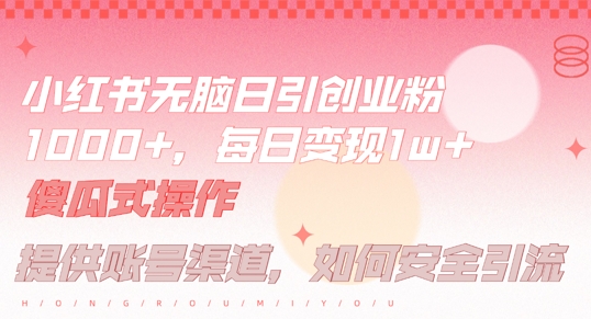 小红书无脑每日引流创业粉500+，小白每天只花半小时，躺赚长尾收益【揭秘】-无痕资源库