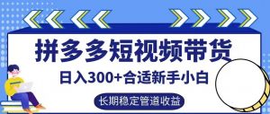 拼多多短视频带货日入300+有长期稳定被动收益，合适新手小白【揭秘】-无痕资源库