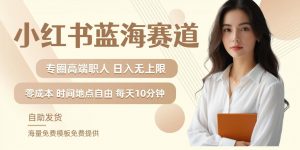 小红书蓝海赛道，圈中高端职场人，月入无上限，可矩阵，内含私域实操教程!-无痕资源库