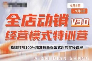 全店动销经营模式特训营，指哪打哪100%精准拉新保姆式起店实操课程-无痕资源库
