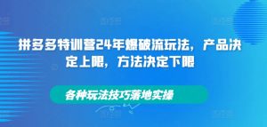 拼多多特训营24年爆破流玩法，产品决定上限，方法决定下限，各种玩法技巧落地实操-无痕资源库