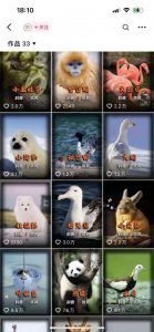 动物科普解说项目，撸创作者伙伴计划收益，保姆级实战教程-无痕资源库