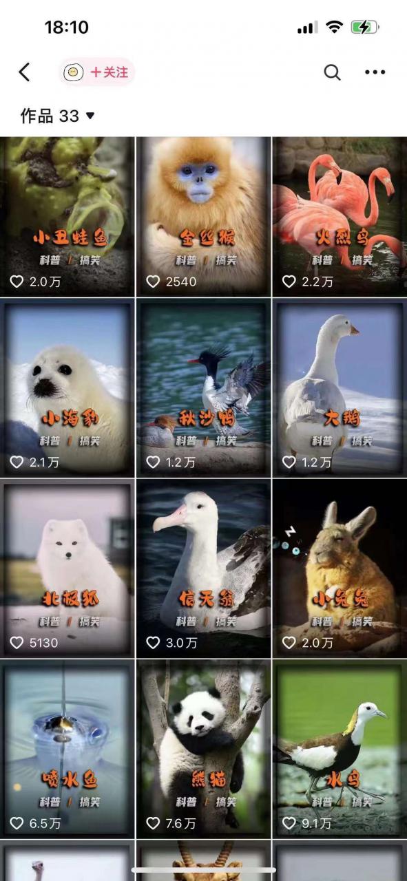 动物科普解说项目，撸创作者伙伴计划收益，保姆级实战教程-无痕资源库