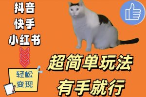 超简单玩法,有手就行,靠猫咪视频日入500+【揭秘】-无痕资源库