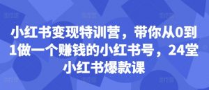 小红书变现特训营，带你从0到1做一个赚钱的小红书号，24堂小红书爆款课-无痕资源库