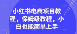 小红书电商项目教程，保姆级教程，小白也能简单上手-无痕资源库