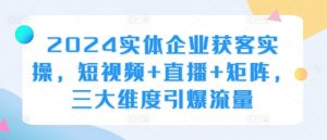 2024实体企业获客实操，短视频+直播+矩阵，三大维度引爆流量-无痕资源库