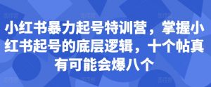 小红书暴力起号特训营，掌握小红书起号的底层逻辑，十个帖真有可能会爆八个-无痕资源库