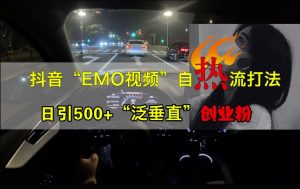 抖音EMO视频自热打法，日引500+“泛垂直”创业粉-无痕资源库
