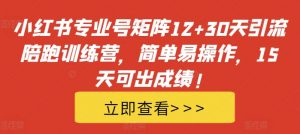 小红书专业号矩阵12+30天引流陪跑训练营，简单易操作，15天可出成绩!-无痕资源库