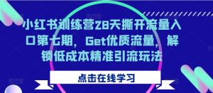 小红书训练营28天撕开流量入口第七期，Get优质流量，解锁低成本精准引流玩法-无痕资源库