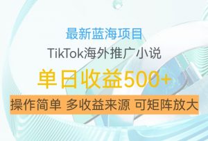 最新蓝海项目，利用tiktok海外推广小说赚钱佣金，简单易学，日入500+，可矩阵放大【揭秘】-无痕资源库