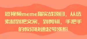 短视频meme猫实战项目,从选素材到把文案,到剪辑,手把手的教你快速起号涨粉-无痕资源库