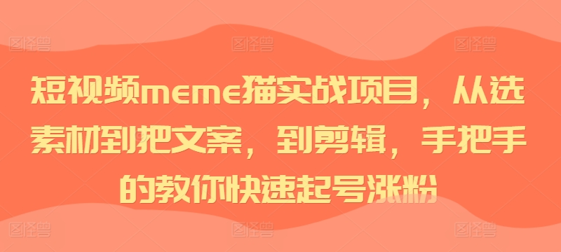短视频meme猫实战项目,从选素材到把文案,到剪辑,手把手的教你快速起号涨粉-无痕资源库