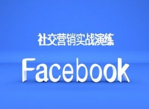 Facebook社交营销实战演练,外贸人绝对不能错过的营销推广平台-无痕资源库