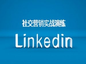 社交营销实战演练之Linkedin营销课程，B2B跨境外贸的新出路-无痕资源库