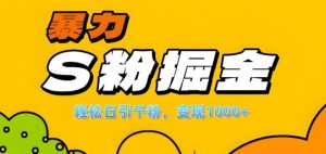 单人单机日引千粉，变现1k+，S粉流量掘金计划攻略【揭秘】-无痕资源库